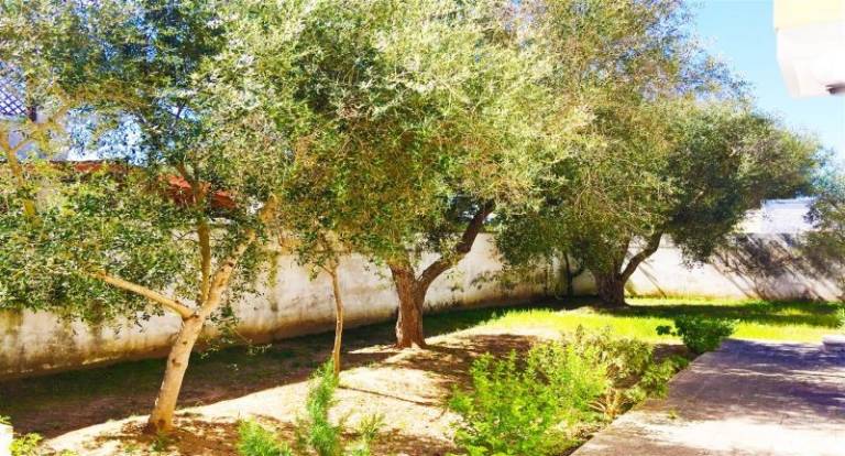 Family-friendly beautiful villa with garden | Pet-friendly — photo 4