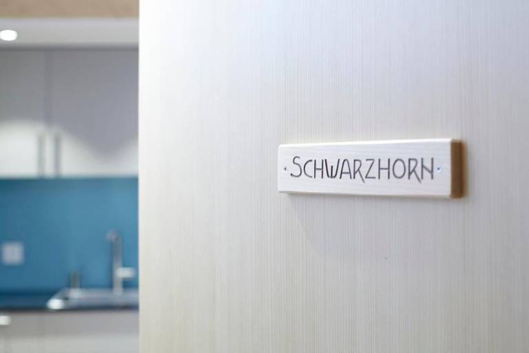 Ferienwohnung  Hasliberg