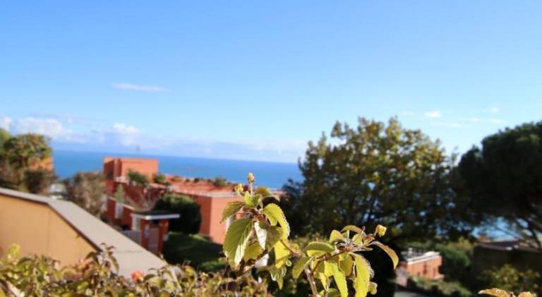 House with pool in Varazze