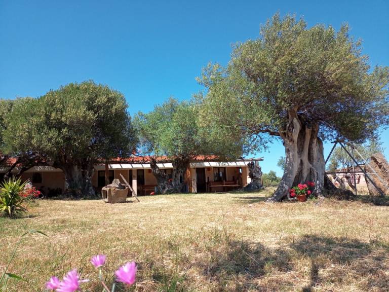 Camera privata Dorgali