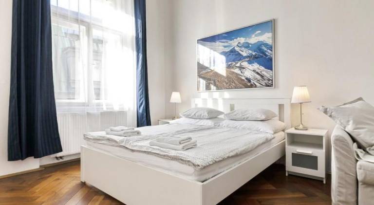 Pleasant serviced apartment | Close to Prague astronomical clock | Pets allowed in Prague