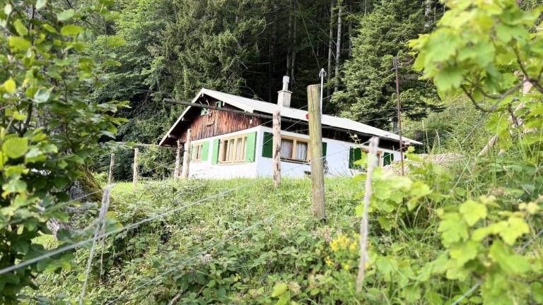 Ferienwohnung Dietmannsried