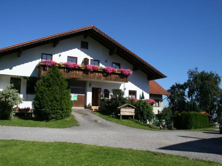 foto3