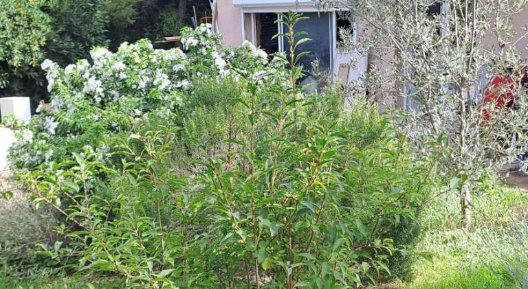 Ecolieu La pepiniere — photo 5