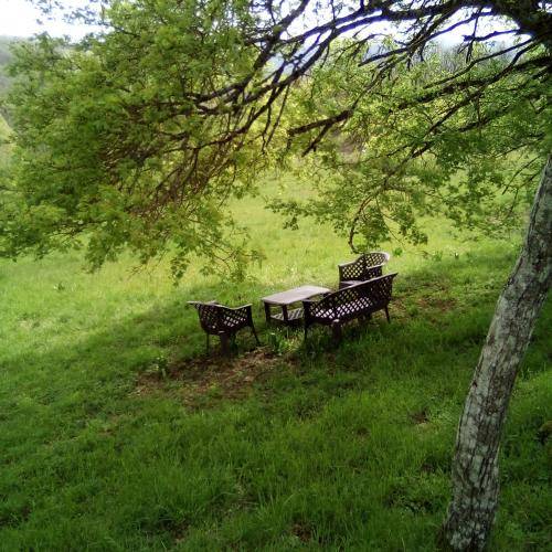 foto15