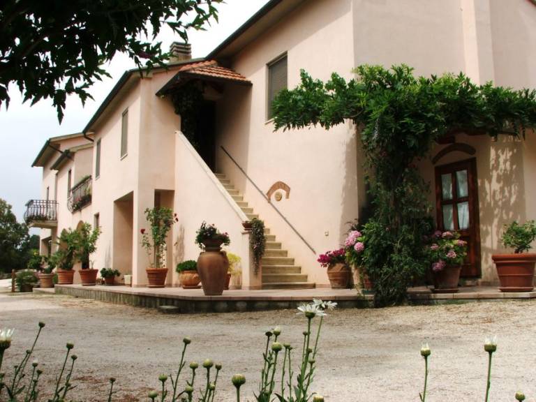 foto5