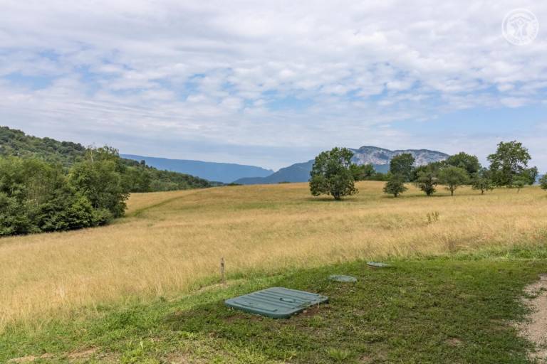 foto43