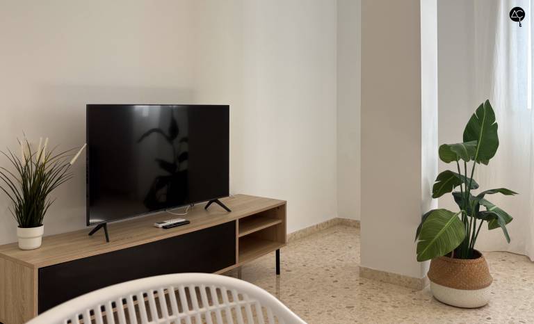 Beautiful rental apartment with yard | Near Cádiz Cathedral | Next to the beach | Dogs allowed — photo 4