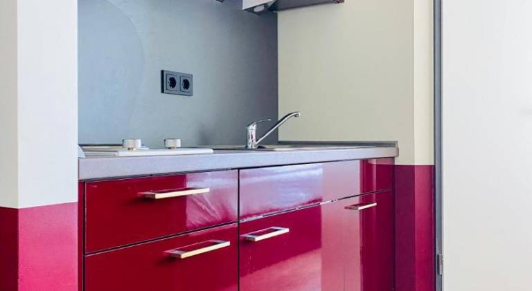 Serviced apartment | Dogs allowed — photo 4