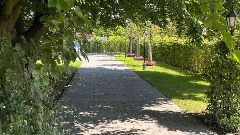 foto10