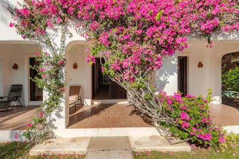 Casa Maya private villa on the beach — photo 5