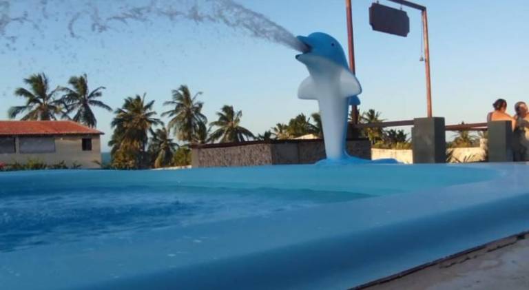 House with pool — photo 4