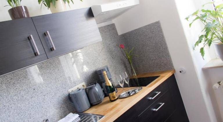 Serviced apartment with terrace & yard | Next to Zwinger | Perfect for remote work — photo 5
