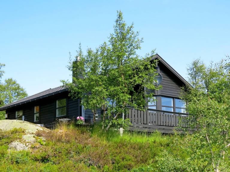 Ferienhaus Ljosland