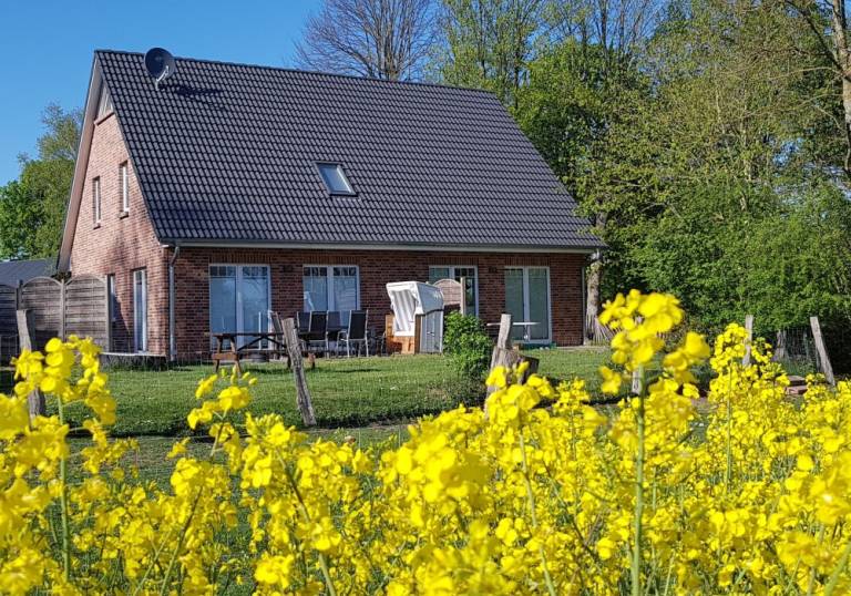 Ferienhaus Heiligenhafen