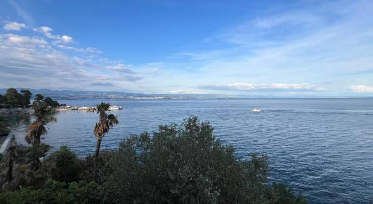 Apartment | Close to the beach | Pets allowed — photo 4