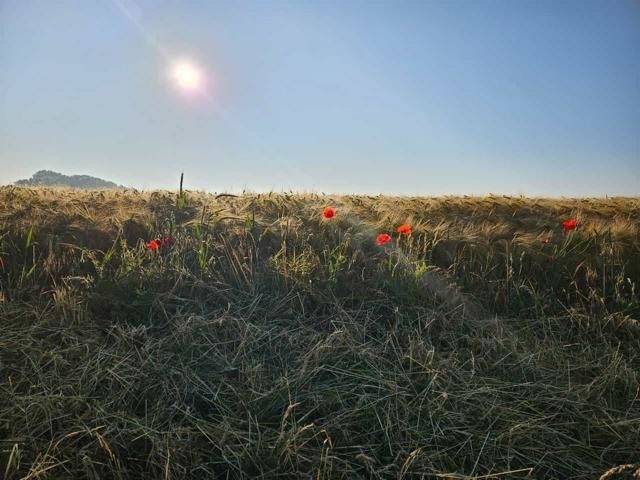 foto11