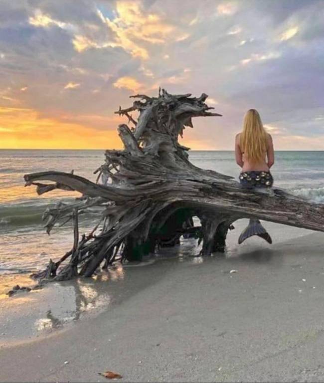 House Little Gasparilla Island