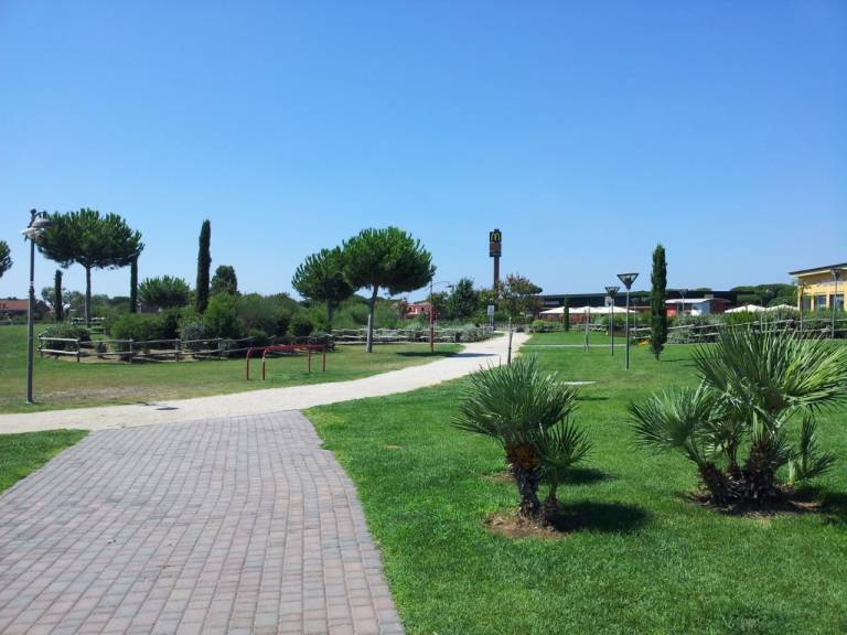 foto11