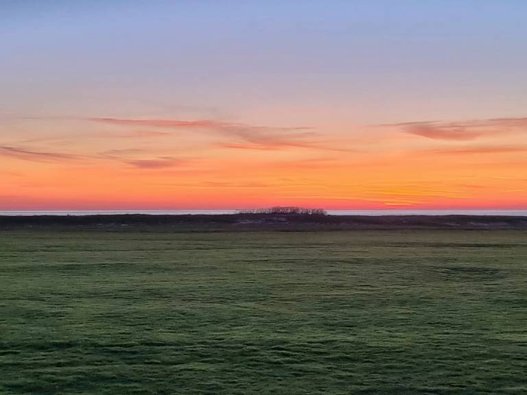foto16