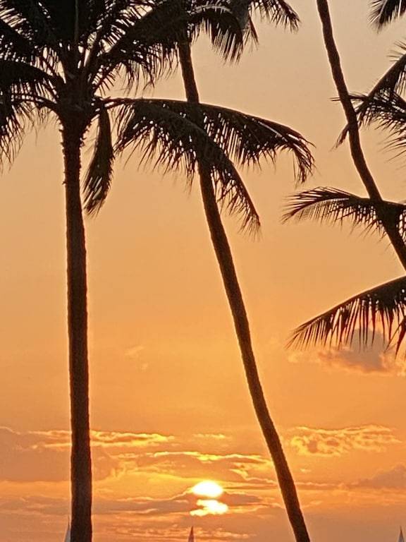 Appartement en copropriété Diamond Head - Kapahulu - St. Louis