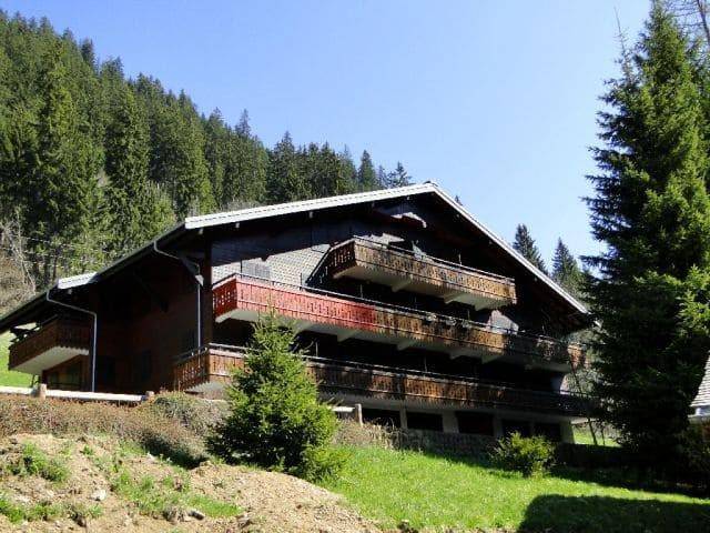 foto9