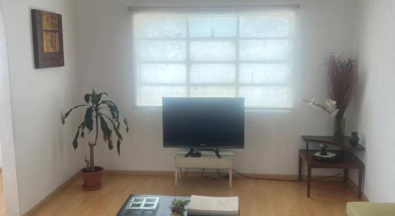 foto19