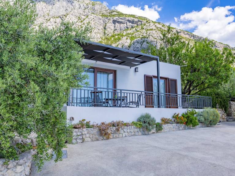House with grill, yard & patio | Mountain view — photo 4