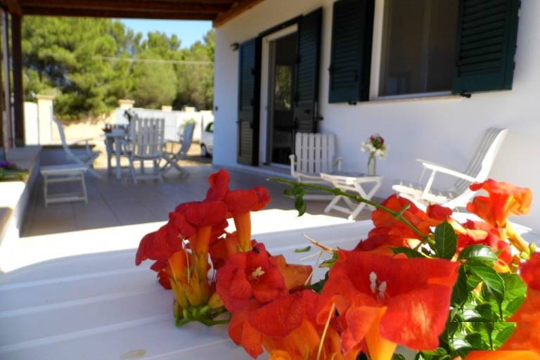 Villa with yard — photo 2
