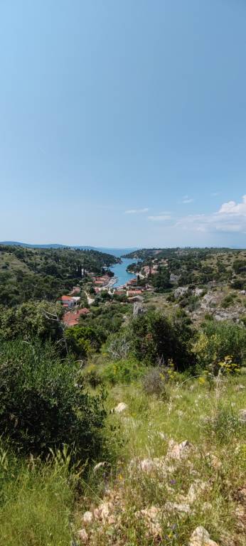 foto2