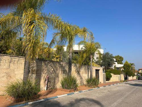 Apartment  Ness Ziona