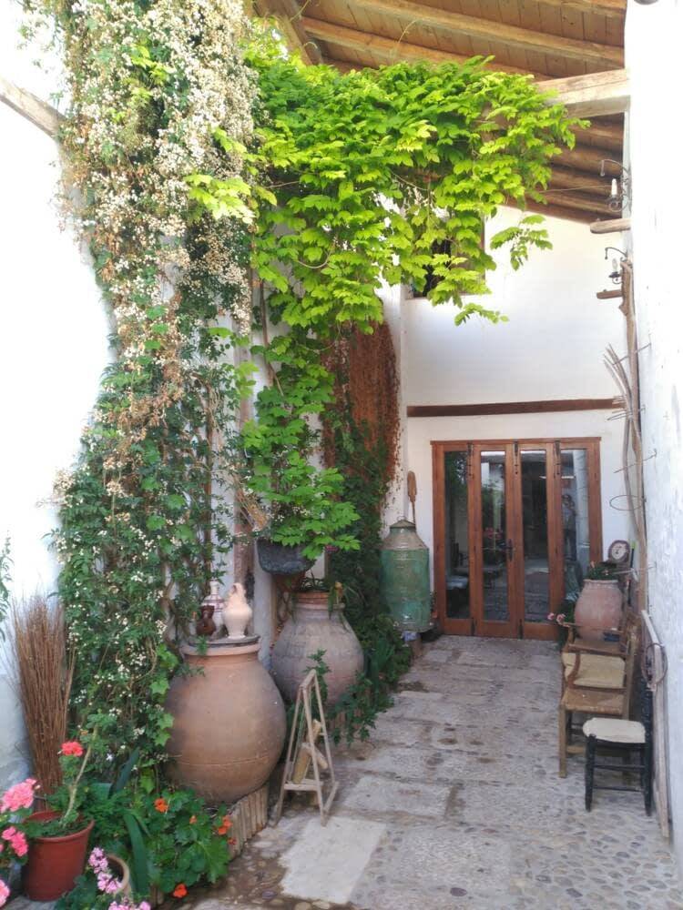 foto16