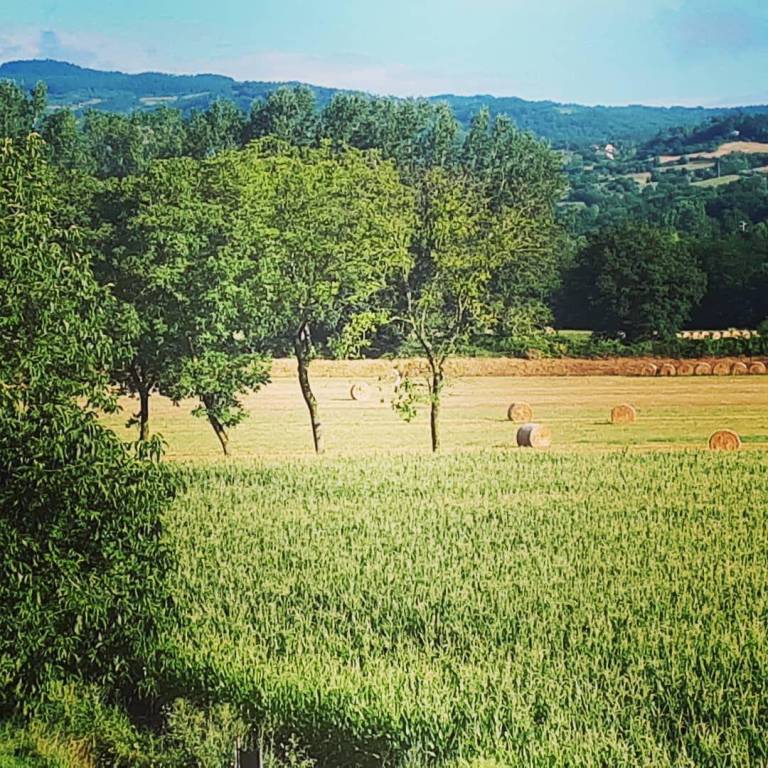 foto41