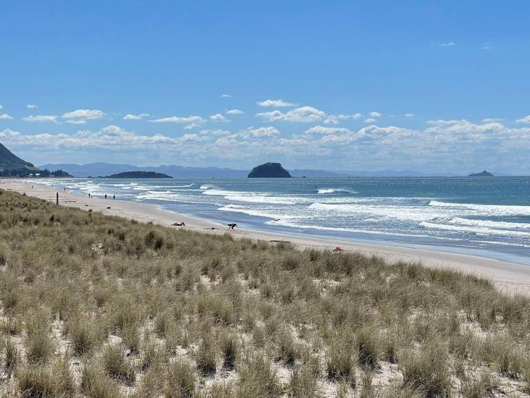 House Mount Maunganui