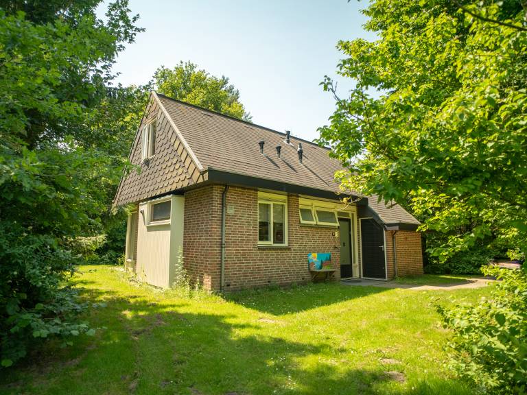 foto7
