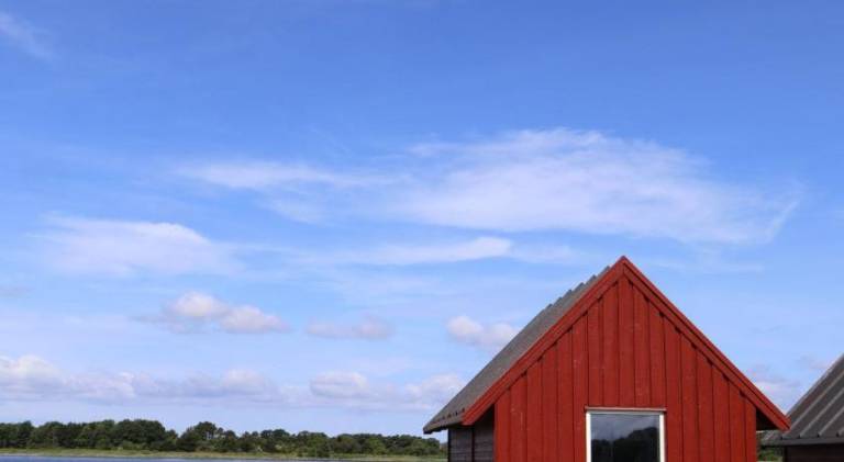 House | Pets allowed in Aalborg