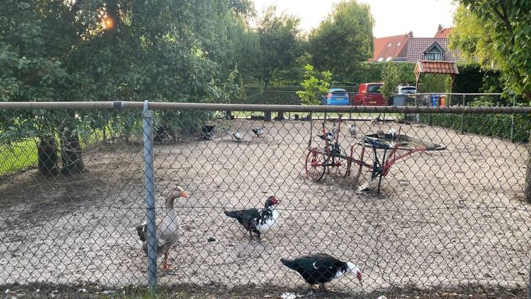 foto40