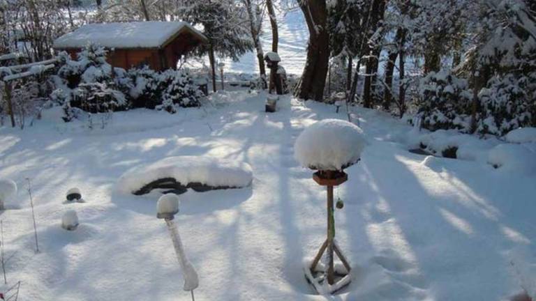 Ferienwohnung Kirchzarten