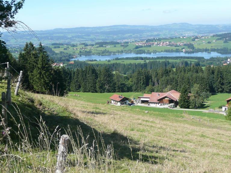 foto11