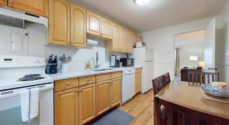 Beautiful, Homey 1BR Close to Longwood Medical — photo 3