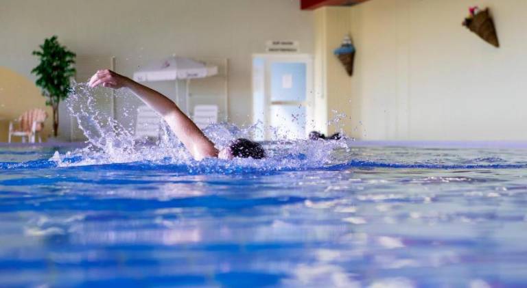Charming holiday apartment with pool | Pet-friendly in Braunlage
