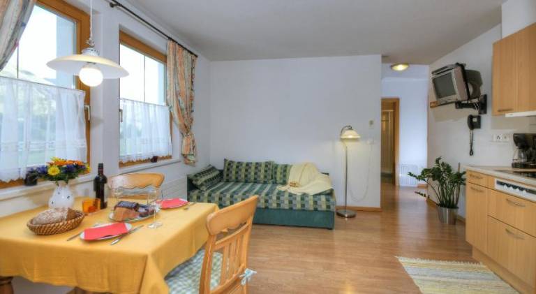 Pleasant serviced apartment with sauna, yard & patio | Next to the ski | Pets are welcome — photo 4