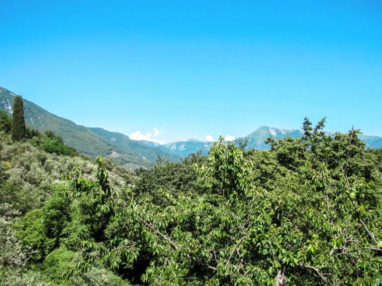 foto4