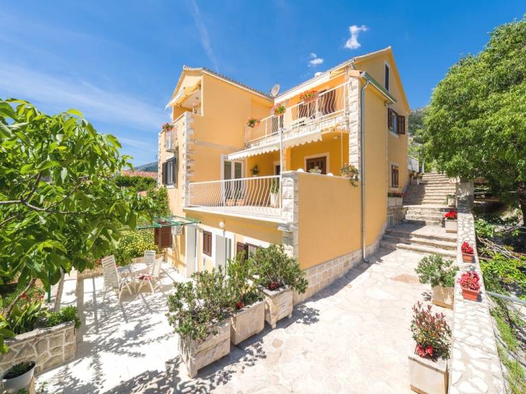 Apartament  Bol