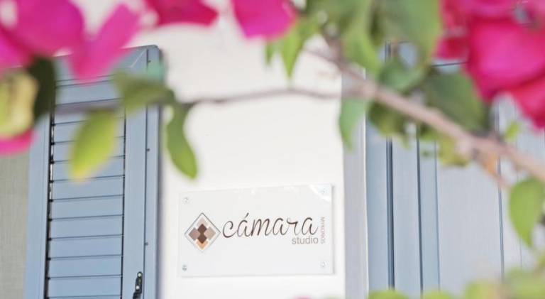 Apartment with patio & garden | Close to the beach | Suitable for remote work | Dogs allowed in Mykonos