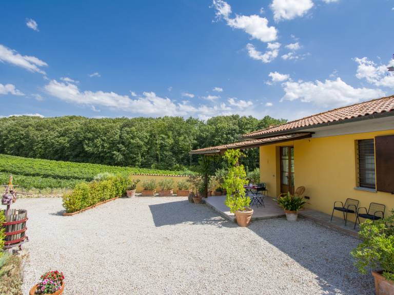Child-friendly charming vacation home with grill, terrace & private pool | Nature view | Pets are welcome — photo 4