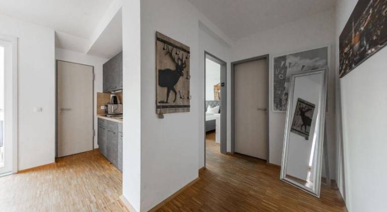 Hotel Freischutz Apartments — photo 4