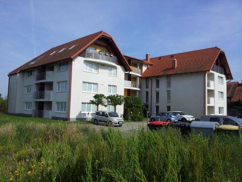 foto19