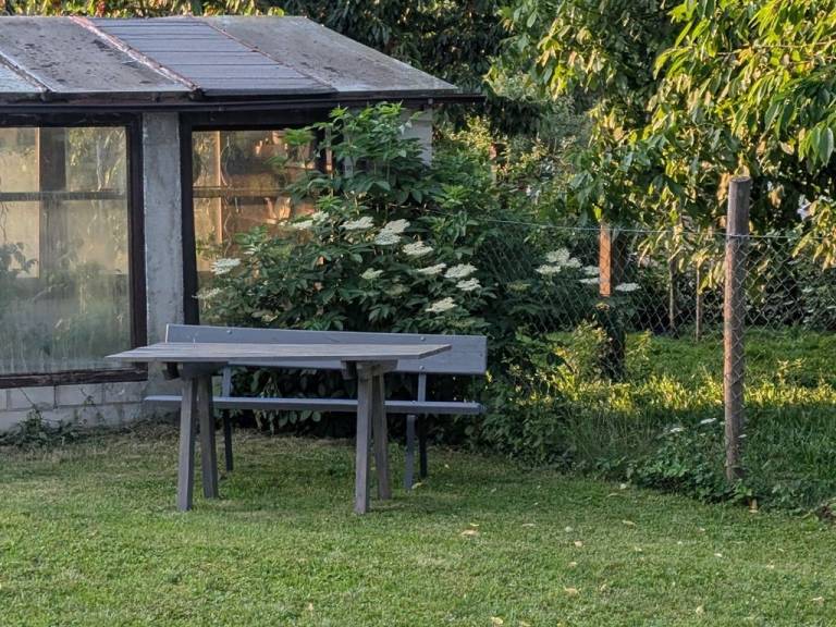 foto21