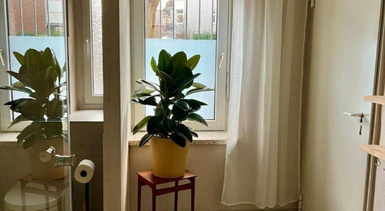 foto22